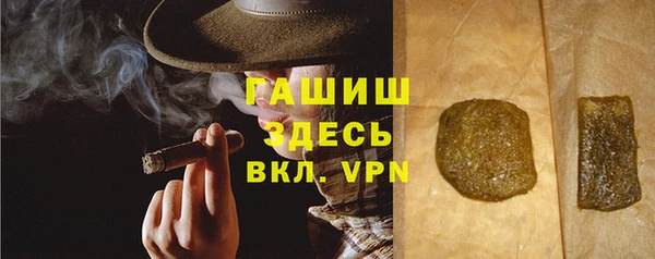 гидра Абаза