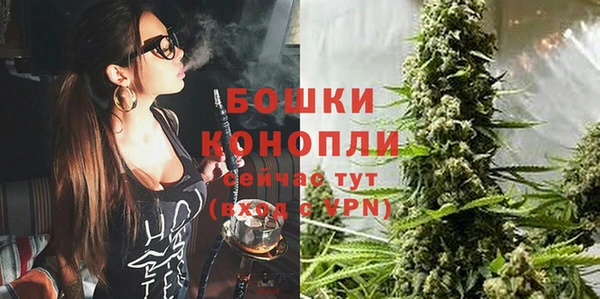 гидра Абаза