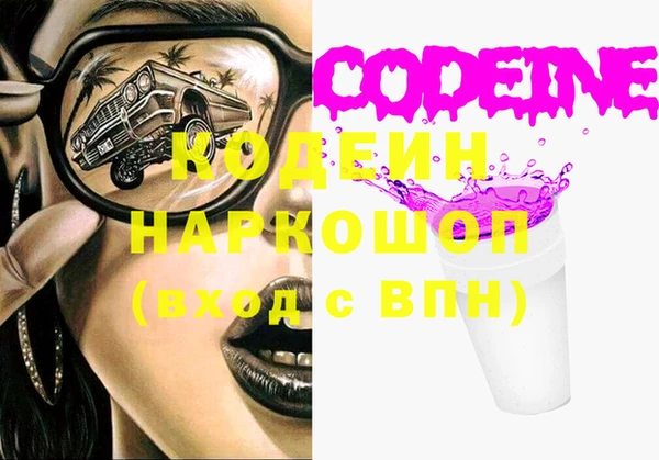 гидра Абаза