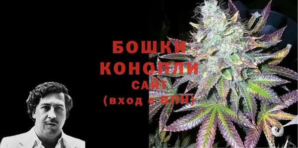 гидра Абаза