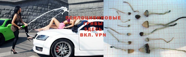 дурь Абдулино