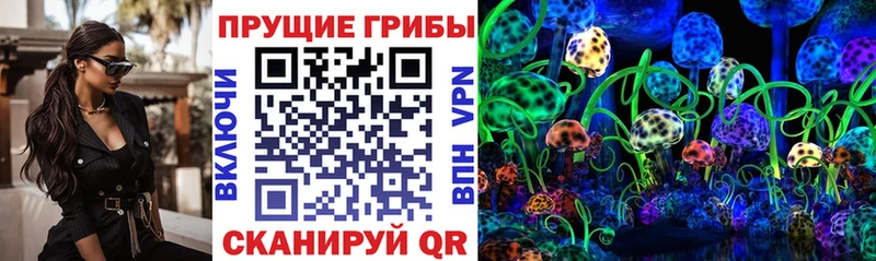 Псилоцибиновые грибы прущие грибы  Сорочинск 